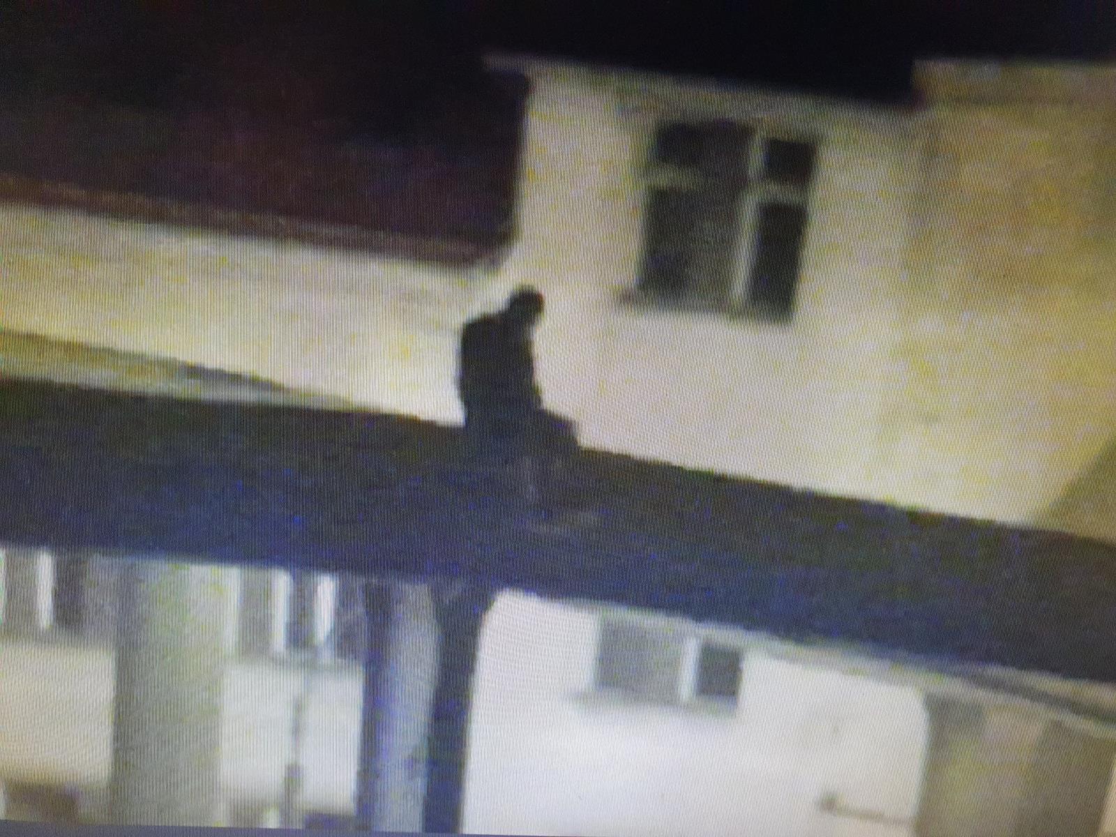 foto ze záchranné akce (zdroj MP Děčín)