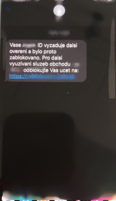 foto5.png