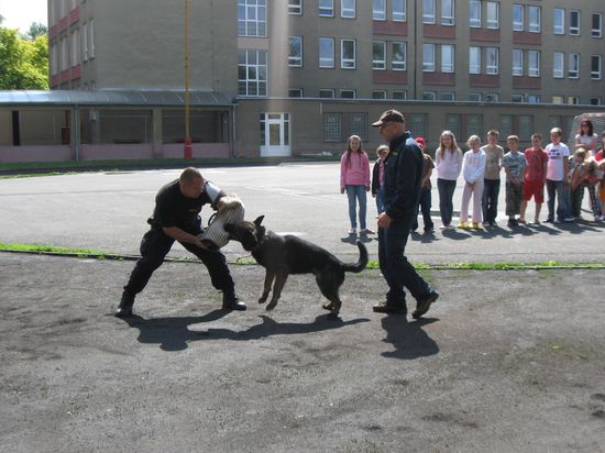 foto_3.jpg