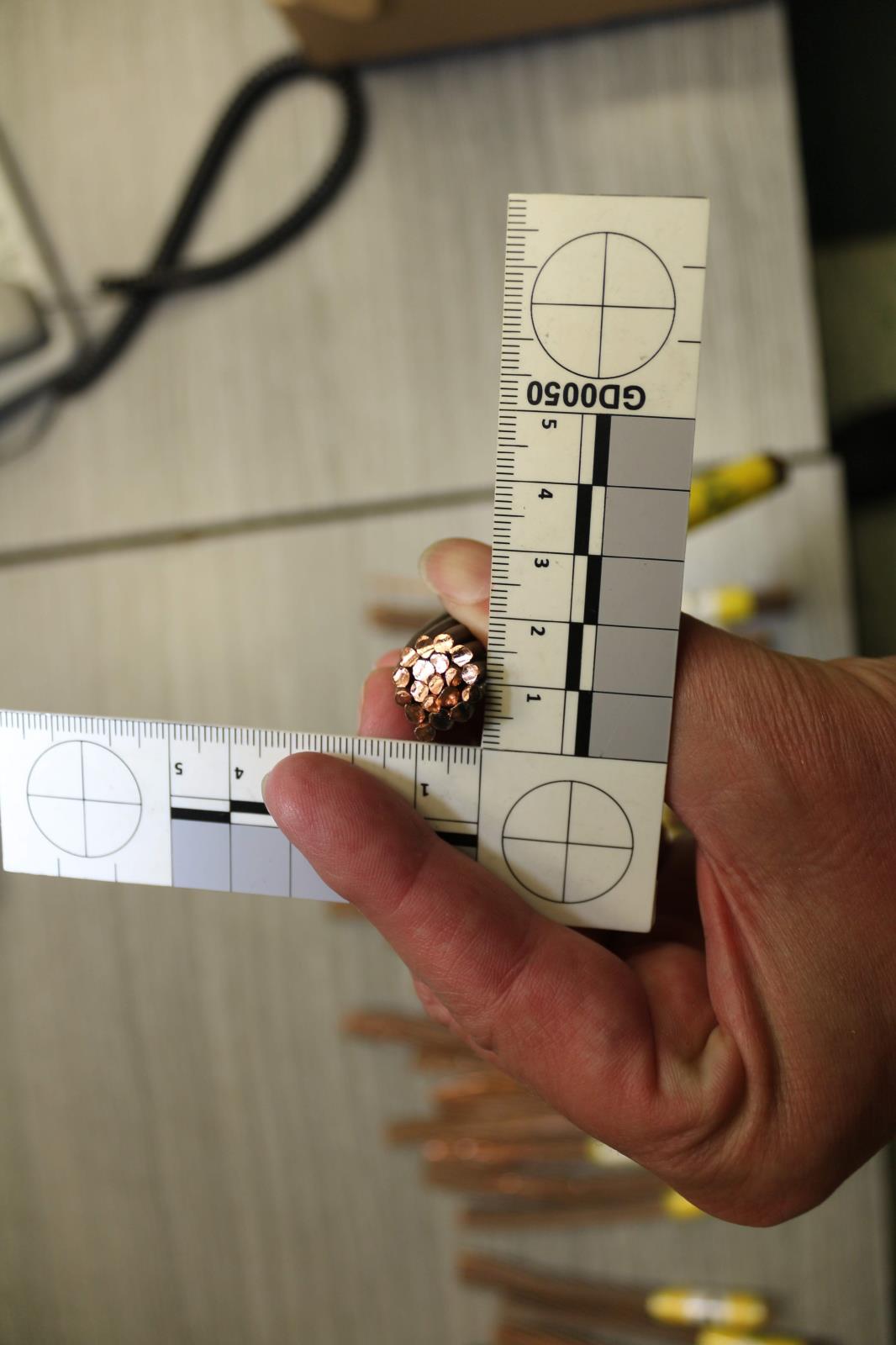 fotografie č. 2.jpg