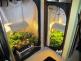 grow1