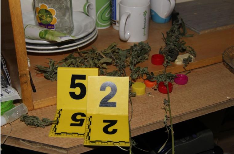 growshop3.jpg