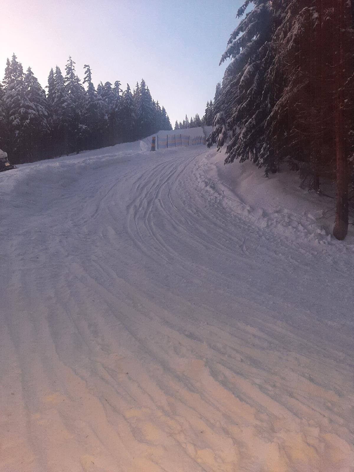 havárie sáňkaře