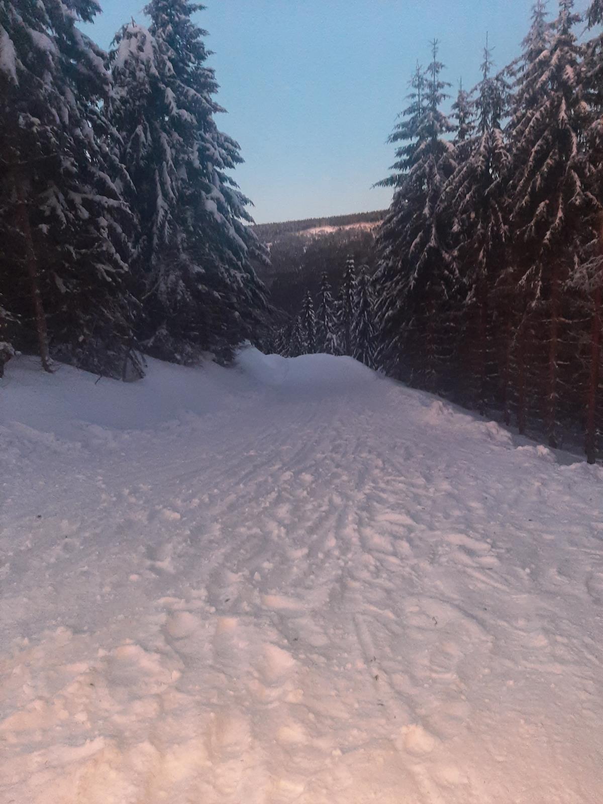 havárie sáňkaře