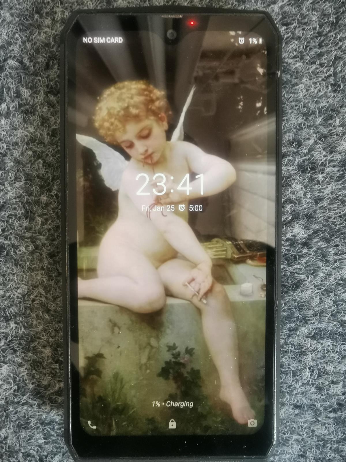 hledáme majitele foto 1.jpg