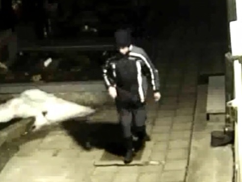 hřbitov.jpg
