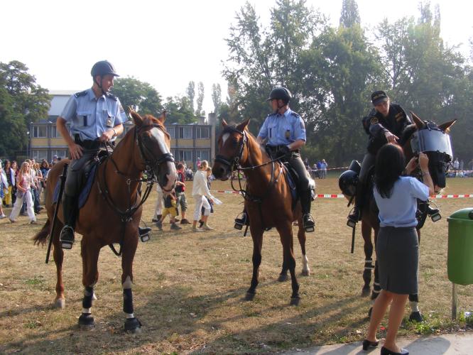 jízdní policie