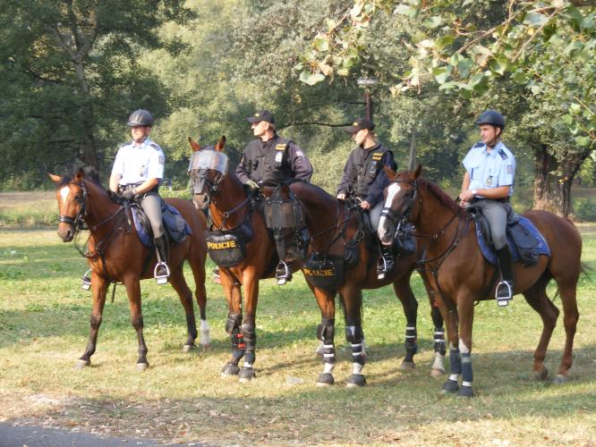 jízdní policie