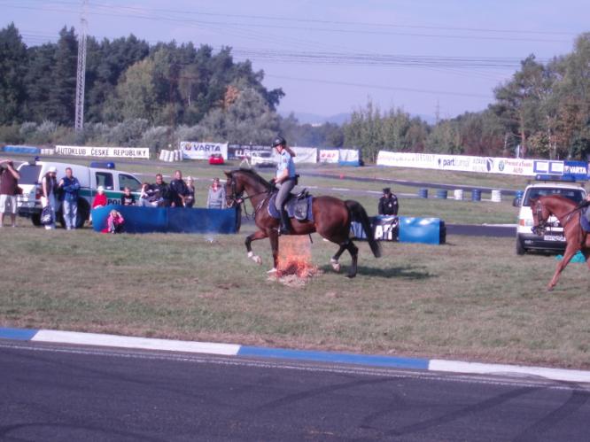 jízdní policie 