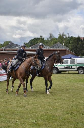 jízdní policie - ukázka