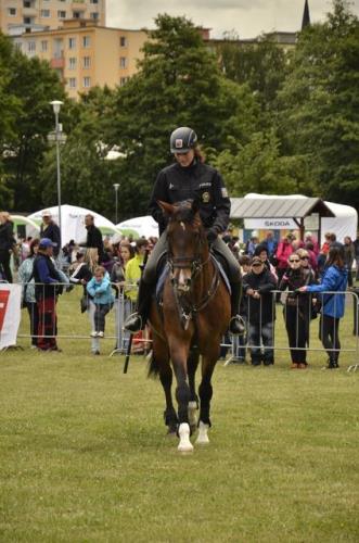 jízdní policie-ukázka 1