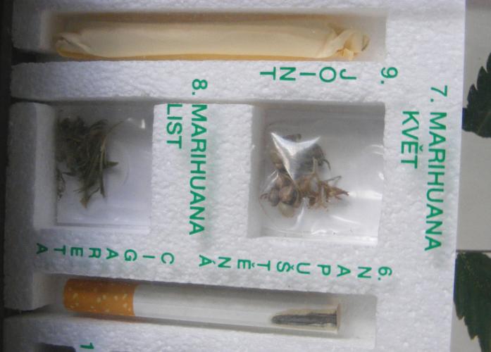 joint