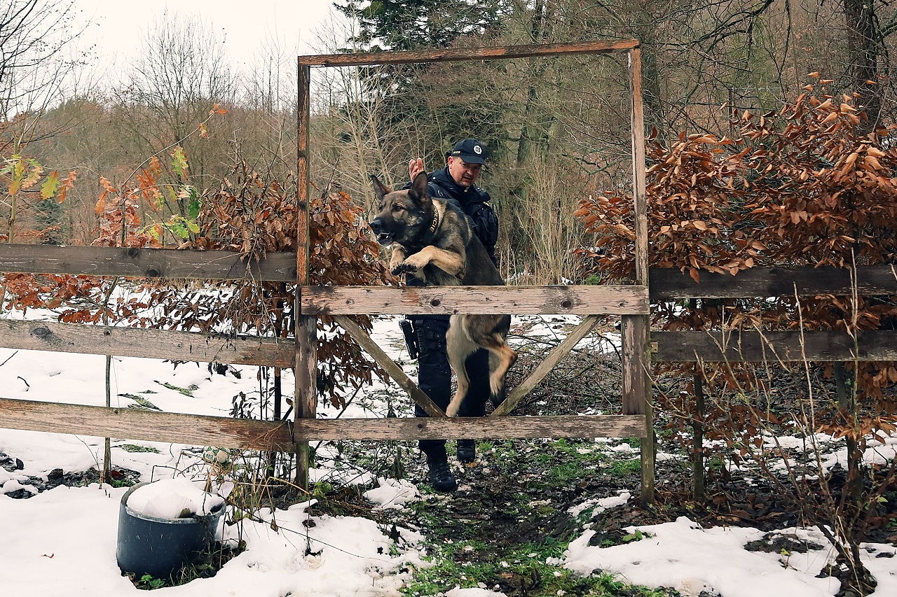 kontrola chat (4).jpg