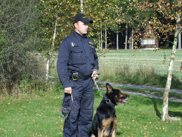 kontrola chat 2010