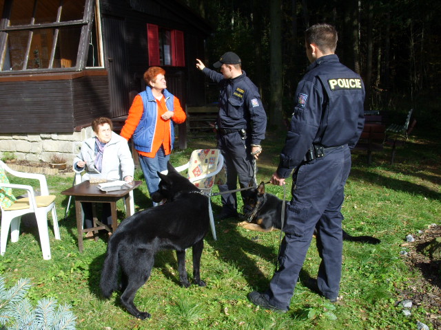 kontrola chat 2010