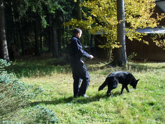 kontrola chat 2010