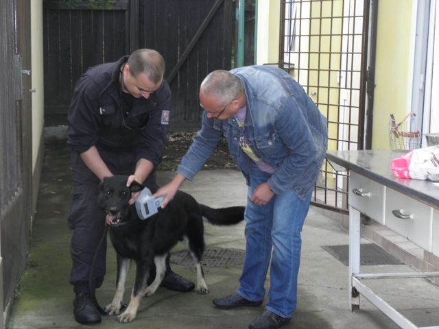 kontrola veterinářem
