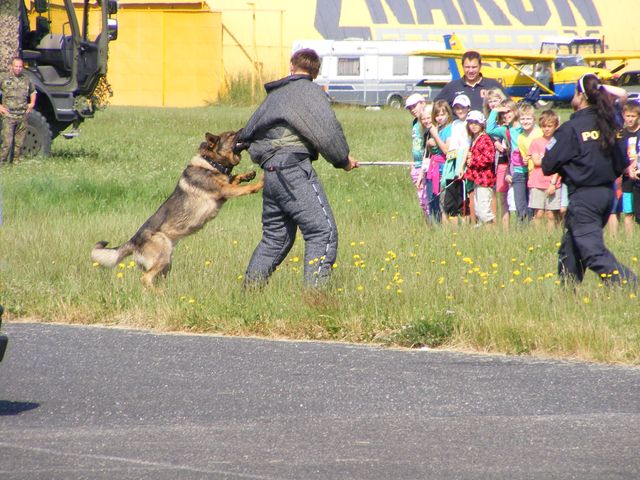 letiště 1.jpg