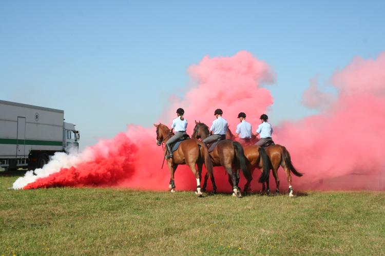 letiště - jízdní policie 3