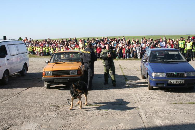 letiště - kynologové