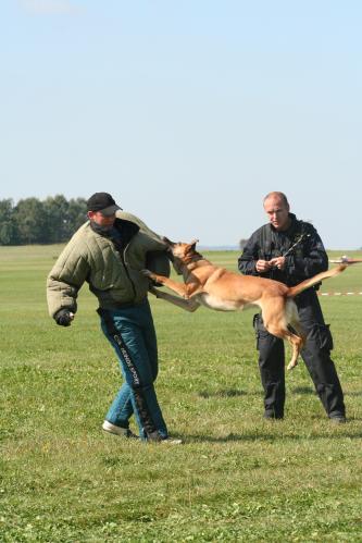 letiště - policejní kynologové