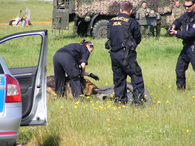 letiště4 (2).jpg