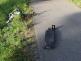 longboard_1