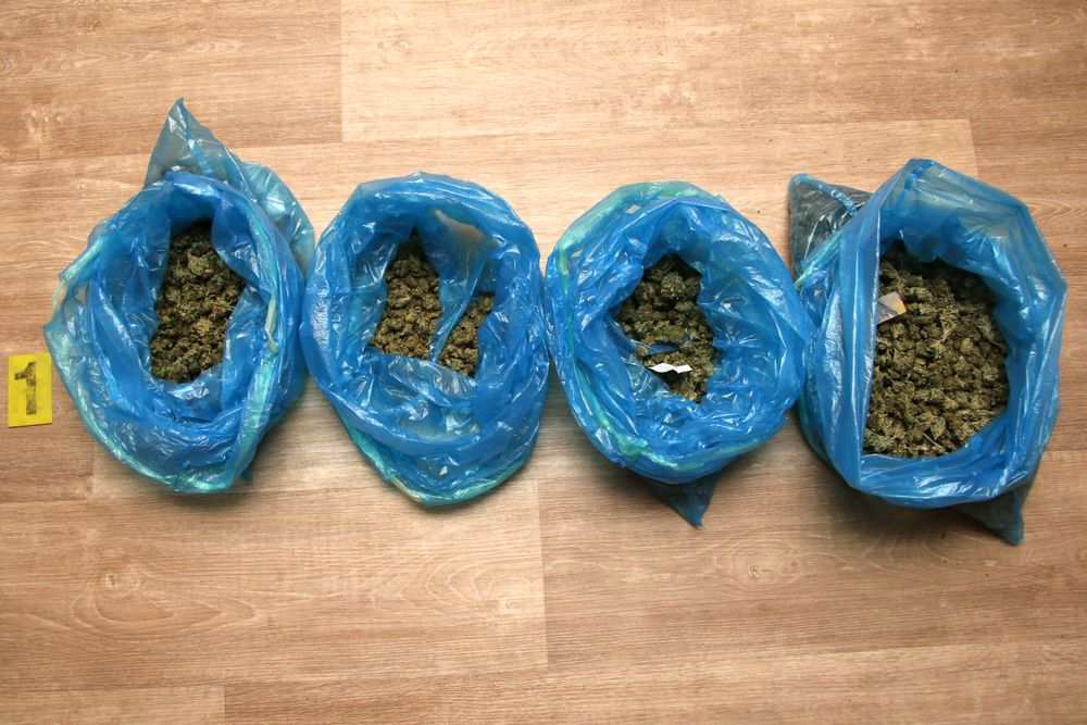 marihuana