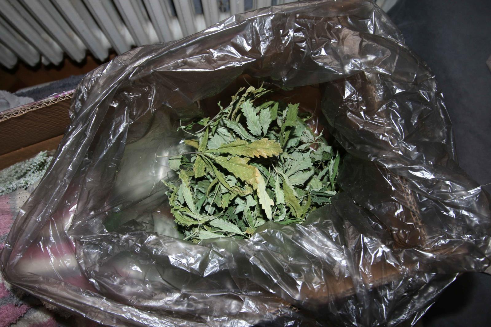 marihuana
