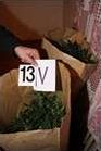 marihuana doma