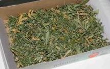 marihuana - sušina