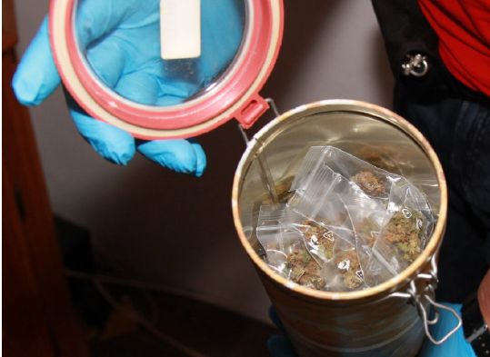 marihuana zajištěná při domovní prohlídce