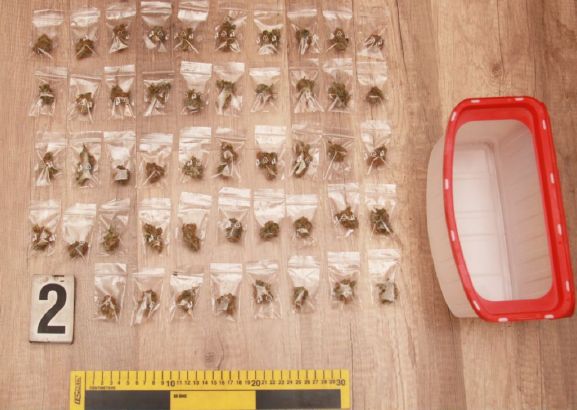 marihuana zajištěná při domovní prohlídce