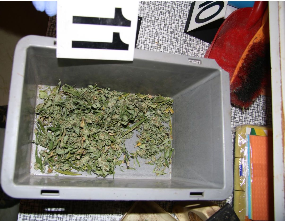 marihuana.jpg