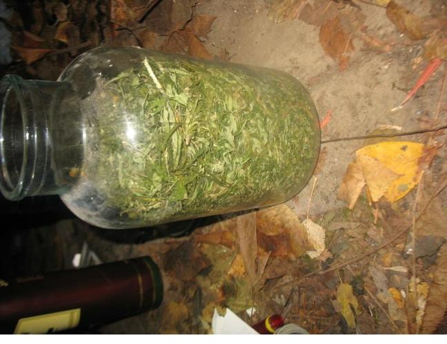 marihuana1.jpg