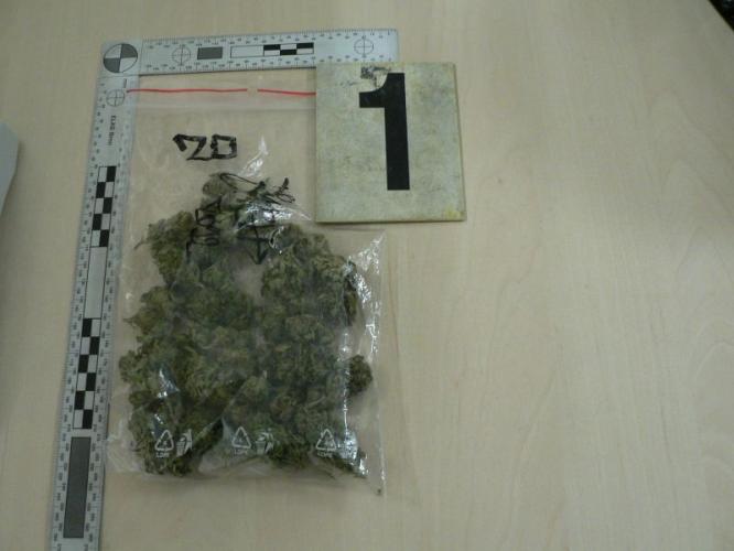 marihuana1.jpg