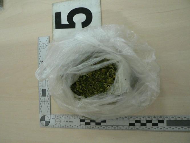marihuana4.jpg