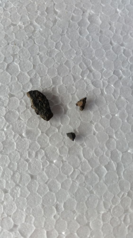 meteorit