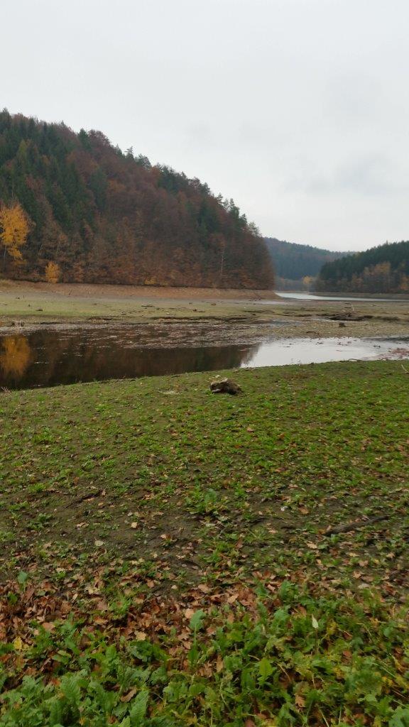 nález munice.jpg