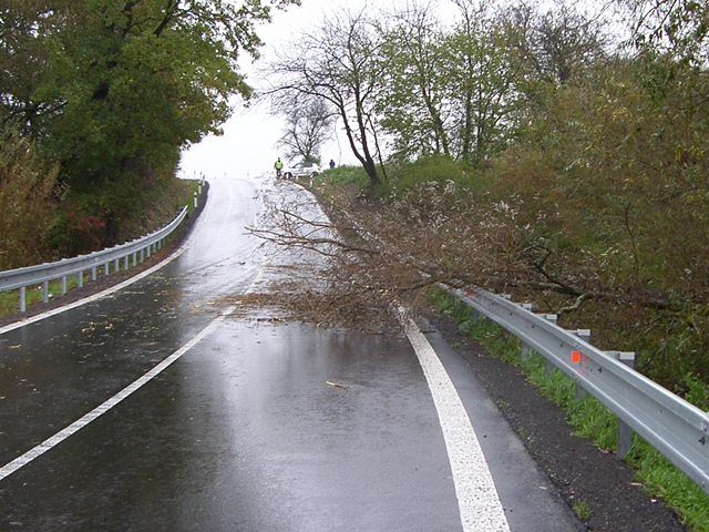 nehoda u Bystřice
