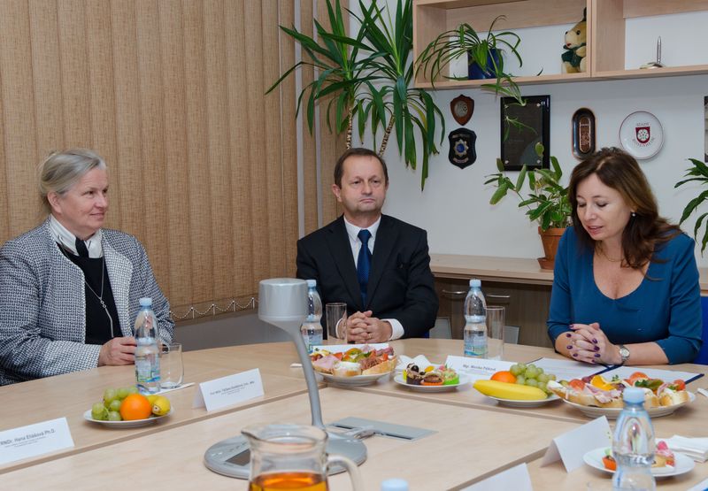 ocenění za výzkum 02