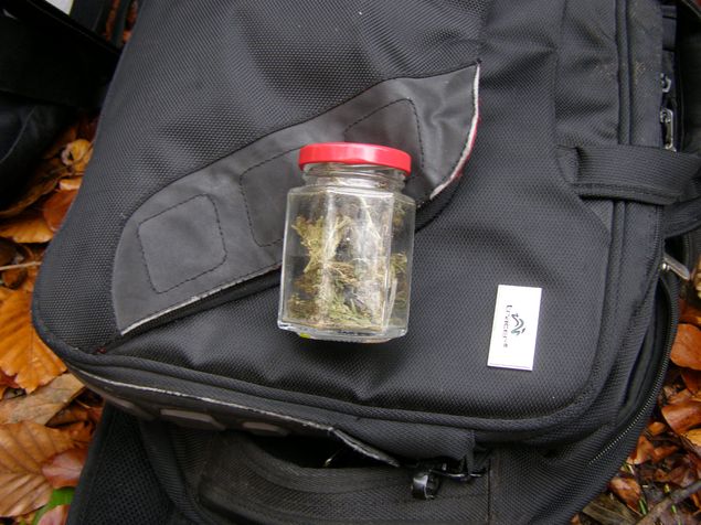 opatření "Hranice"