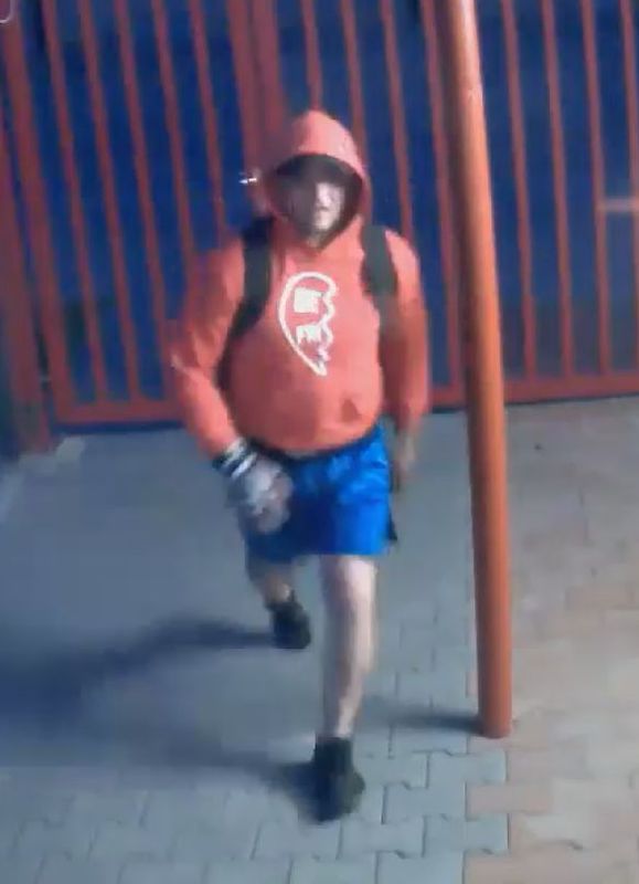 pachatel_2.jpg