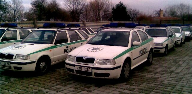 park.bmp