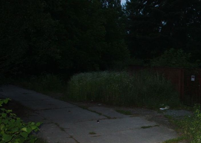 park.jpg