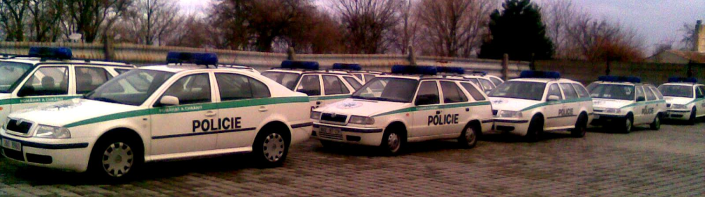 park2.bmp