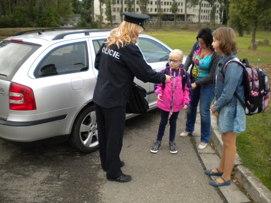 pásy 2.JPG