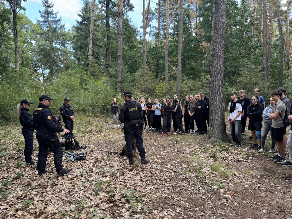 pátračka - Hradecké lesy.jpg