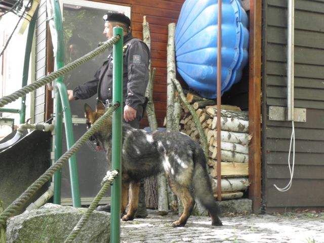 pátrání po hledaných osobách  10