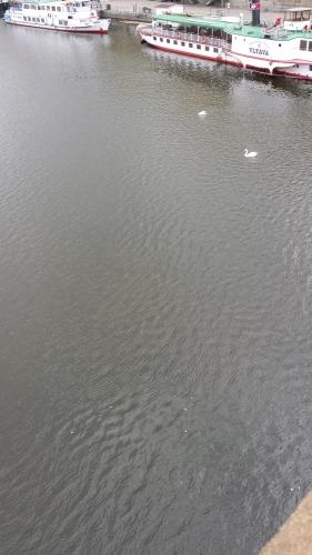 plovoucí drogy